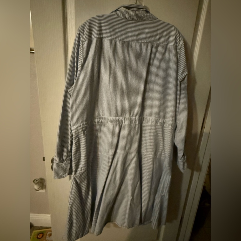 J. Crew Blue and White Striped Shirt - Picture 5 of 5